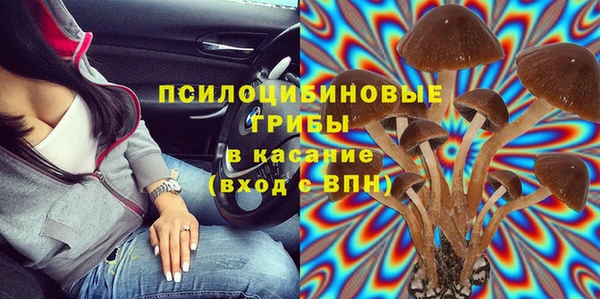 гидра Алексин