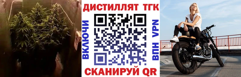 Дистиллят ТГК гашишное масло  Заполярный 