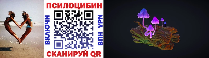 Галлюциногенные грибы Psilocybe  Заполярный 